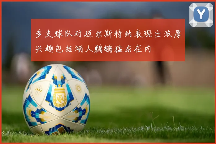 多支球队对迈尔斯特纳表现出浓厚兴趣包括湖人鹈鹕猛龙在内